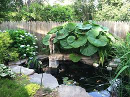 Reader Photos Ann S Garden In New York Finegardening Fish Pond Gardens Waterfalls Backyard Outdoor Ponds