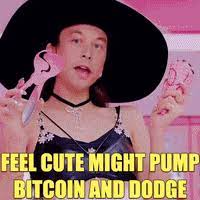 As the price tests the $9,000 mark again. Bitcoin Funny Gifs Get The Best Gif On Giphy