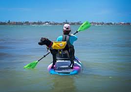 Perception hi life 11.0 sup kayak. 2021 Perception Recreational Hi Life Kayak Paddleboard Sup Cedar Creek Outdoor Center