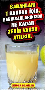 Bagirsaklarinizdan Kilolarca Toksin Cikartan Karisim Aslinda Obez Veya Fazla Kilolu Olmayan Kisiler De Bile Bagirsaklarinda Yakl Diyet Dogal Tedaviler Saglik