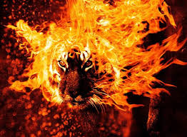 Animal Art With Fire Found On Http Superdit Com 2011 02 28 27 Animal Art With Fire Manipulation Fire Art Fire Image Tiger Art