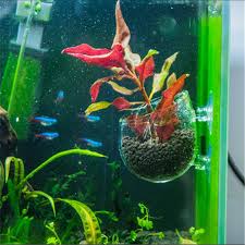 Do you have any knowledge of assembling its inner environment? Top 10 Most Popular Glass Aquarium Decoration Ideas And Get Free Shipping List Light E35