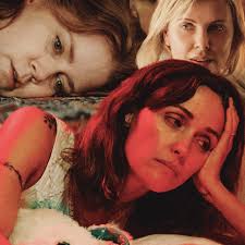 Tiger Mom Amy Chua Defended Kavanaugh—Less Than a Year Later, Her Daughter  Got a Clerkship