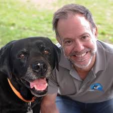 CANINE COUNSELLING BY MARK