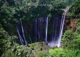 The national park can be reached by roads from gilimanuk and singaraja, or by using ferries from. Mymeatcounter Warung Sego Pecel Mbok Sarti Banyuwangi Regency East Java Top 4 Waterfalls In East Java Indonesia Expat With An Area Of 5 782 4 Km 2 This Regency Is The
