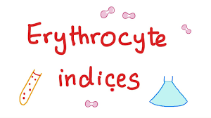 Erythrocyte Indices Hemoglobin Hematocrit Mcv Mch Mchc What Do These Lab Tests Mean Youtube