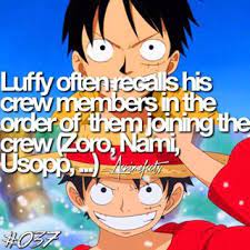 Pin Auf One Piece Fanforever