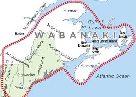 Image result for Vanwykia