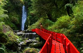 See 89 reviews, articles, and 37 photos of kayak chile, ranked no.2 on tripadvisor among 40 attractions in pucon. What To Do In Pucon Chile Andean Trails