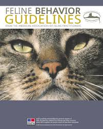 Cat school's instagram and youtube is a great place to find tricks and the method to teach your i want my cat to stay off of the counter/stop scratching furniture/stop chewing cables/etc. generally, the effective way to train cats to stay away. Pdf Feline Behavior Guidelines From The American Association Of Feline Practitioners