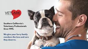 We are passionate about caring for your pets, and our team focuses on providing the personalized veterinary care and customer service necessary to help your. Vet Care Home Facebook