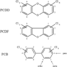Dioxin and other health problems. Structure Of Dioxins Pcdds And Pcdfs And Pcbs Relevant Pcdd Fs Are Download Scientific Diagram