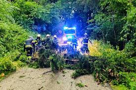 Jun 28, 2021 · in stroheim blieben wir vom schlimmsten verschont, sodass es nur zu einem einsatz für die ff stroheim kam. Verkehrswege Freimachen Feuerwehr Stroheim