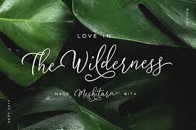 Version 1.00 july 27, 2008, initial release. Meshitara 40772 Script Font Bundles Elegant Font Cursive Fonts Modern Invitation Design