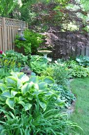 Three Dogs In A Garden A Shade Garden In Oakville Ontario Shade Garden Design Shade Garden Small Back Gardens