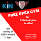 FREE Open Gym Playdate for foster and adoptive event image