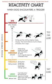 dog reactivity chart dog stress dog training reactive dog