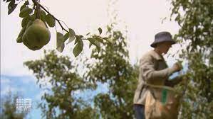 Jobs Figures Employment Rose By 29000 During The Summer Holiday Peak