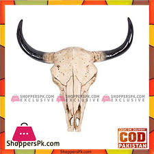 Shop our cow skulls selection from the world's finest dealers on 1stdibs. Buy 30cm Resin Artificial Cow Skull Wall Hanging At Best Price In Pakistan