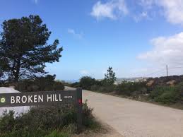 This overlook is a great way to get a good understanding of the unique landscape of the park. Broken Hill Loop Torrey Pines State Reserve The Last Adventurer