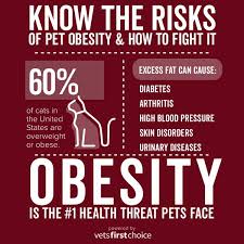 Valley animal hospital & pet resort is proud to serve the huntsville, al area for everything pet related. Park Animal Hospital Simi Valley Home Facebook