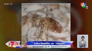 อย่างไรก็ตาม พิษของหมึกบลูริงหรือหมึกสายสีน้ำเงินมีชื่อว่า maculotoxin(มาคูโลทอกซิน) ซึ่งมีลักษณะคล้ายกับพิษของปลาปักเป้าที่มีชื่อว่า tetrodotoxin(เทโทร. à¸ž à¸©à¸«à¸¡ à¸à¸šà¸¥ à¸£ à¸‡ à¸„à¸¥ à¸›à¸ž à¸©à¸«à¸¡ à¸à¸šà¸¥ à¸£ à¸‡ à¸Š à¸­à¸‡7 à¸¢ à¸­à¸™à¸«à¸¥ à¸‡