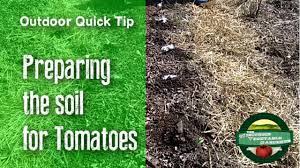 How to prepare a tomato garden. Preparing The Soil For Tomatoes Quick Tip Youtube