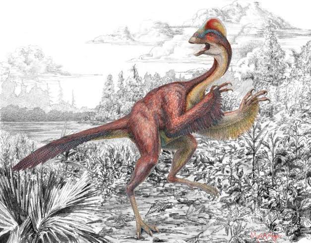 EUA: cientistas identificam dinossauro "Frango do Inferno"