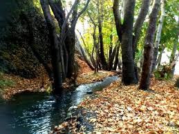 Image result for â€«Ø´Ø§Ù†Ø¯ÛŒØ² Ù…Ø´Ù‡Ø¯â€¬â€Ž