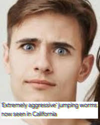 Daniel Hof (@diagonalcaesar) • Instagram photos and videos