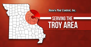 Information about termites and common pests. Pest Control In Troy Mo Steve S Pest Control