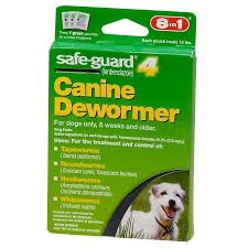 If you did not worm her prior to mating (which is standard), then get a mild wormer that is made for pregnant dams. Safe Guard Canine Dewormer