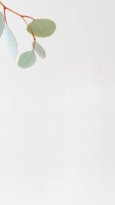 Choose from hundreds of free white wallpapers. Mobile White Wallpapers 4k Hd Mobile White Backgrounds On Wallpaperbat