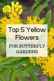 I'm sure you already know the wonderful flowers that attract butterflies and hummingbirds. 42 Butterfly Attracting Plants Ideas In 2021 Plants Attract Butterflies Plant Sale