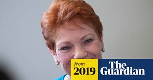 Pauline Hanson sparks fury with claim domestic violence victims are lying  to family court