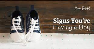 Check spelling or type a new query. Signs You Re Having A Boy Plus How Accurate They Really Are