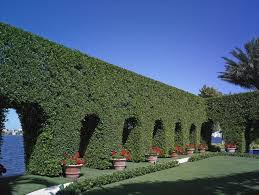 Gartengestaltung Im Italienischen Stil Sudflorida Landschaftsarchitektur Gartendesign Lebendige Hecke Sich Garten Design Gartengestaltung Landschaftsdesign
