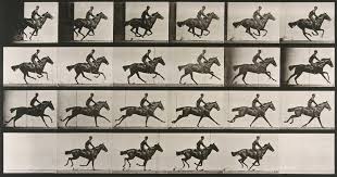 When a horse gallops , it runs very fast so that all four legs are off the ground at the. Le Dessous Des Images Le Galop Du Cheval