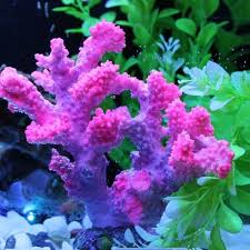 Get it as soon as fri, may 14. Pin On Fish