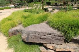 The wallaby's rock garden nature retreat in south west victoria, australia. Lomandra Rock Garden Janna Schreier Garden Design