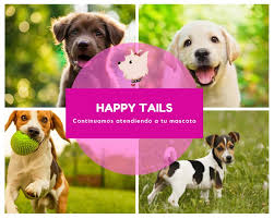 We changed our name from happy tails to happy tails grooming salon. Happy Tails Pet Grooming Home Facebook