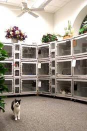 It is generally a light, fleeting contact, and only takes place between individuals that are friendly towards each other. Cat Boarding Near Me Cheap Online