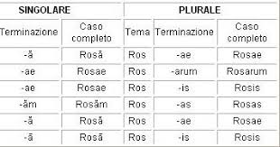 Le 5 Declinazioni Latine Con Immagini Grammatica Latina Scuole Superiori