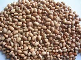 Image result for Cyamopsis