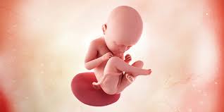 Adik sepupu saya sedang mengandung 5 bulan dan dari hasil pemeriksaan terakhir oleh dokter bahwa janin yg dikandungnya terkena suspek hirschprungs. Perkembangan Janin Dan Ibu Hamil Minggu Ke 35