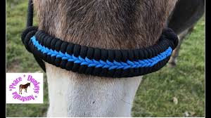 Spool of green paracord + bored pony on deployment = new halter!! Centre Stitched Paracord Noseband Without Stitching For Horse Halter Youtube