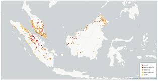 This palm oil supplier in malaysia is headquartered at perak darul ridzuan, malaysia. Is That Palm Oil Mill Sustainable A New Tool Can Tell