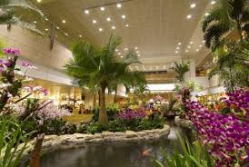 Welcome to the official facebook hub of singapore. Aeroport Singapura Changi
