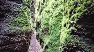 Check spelling or type a new query. Drachenschlucht Surreale Klamm Im Thuringer Wald Home Of Travel