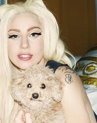 Follow lady gaga, buy the album on itunes, and more. Here S Another Picture Of Gaga Backstage From Her Born This Way Ball With Fozzi She Looks Gorgeous And Fozzi Lady Gaga Pictures Lady Gaga Lady Gaga Photos